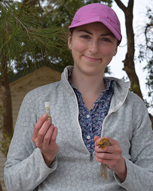 Bird-Friendly Agriculture: Finding the Right Balance to Benefit Birds and Farmers (and Everyone Else) 