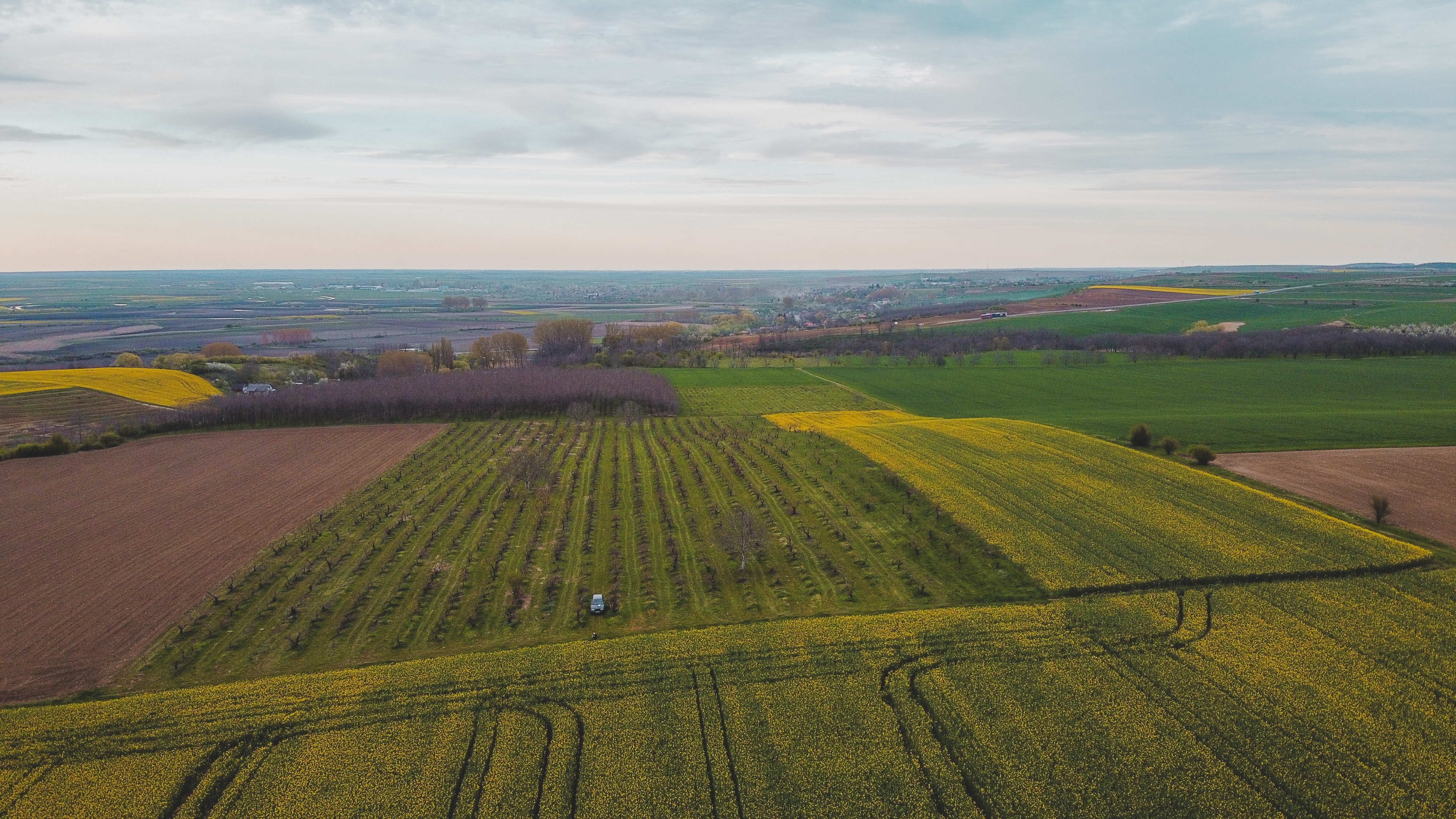 Farm fields in Romania, credit Árpád Czapp